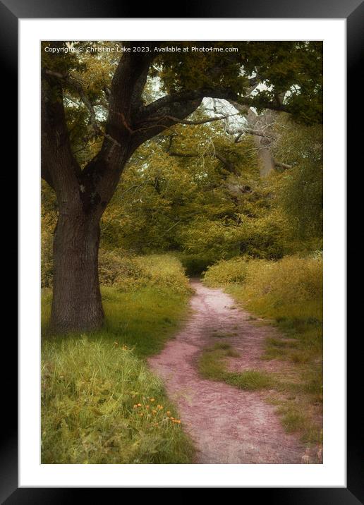 Woodland Walk Framed Mounted Print by Christine Lake