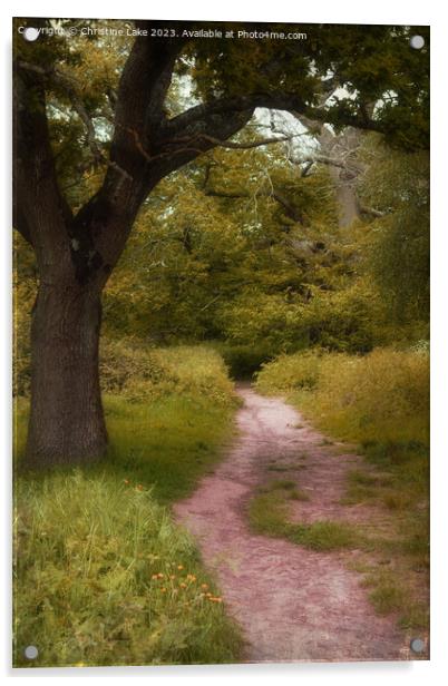 Woodland Walk Acrylic by Christine Lake