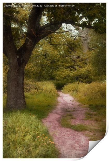 Woodland Walk Print by Christine Lake