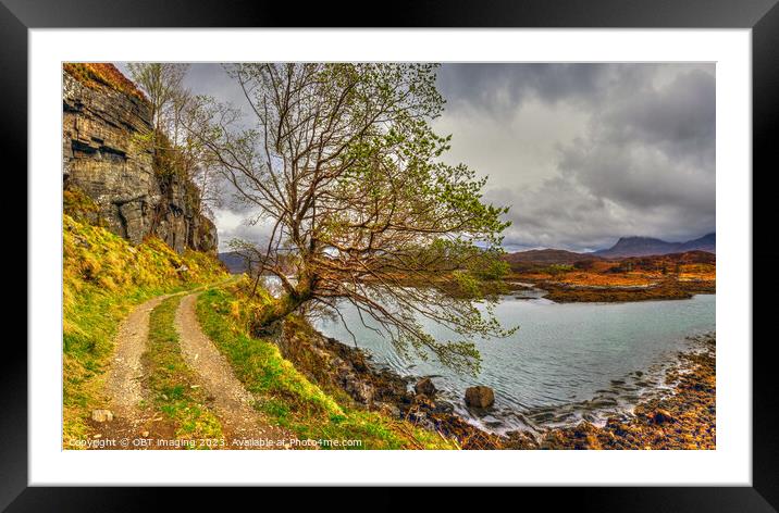 Highland Scotland Tree and Track Framed Mounted Print by OBT imaging