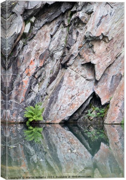 Abstract rock and reflections in Rydal cave, lake district Canvas Print by Martin Williams