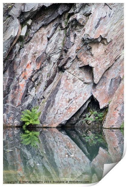 Abstract rock and reflections in Rydal cave, lake district Print by Martin Williams