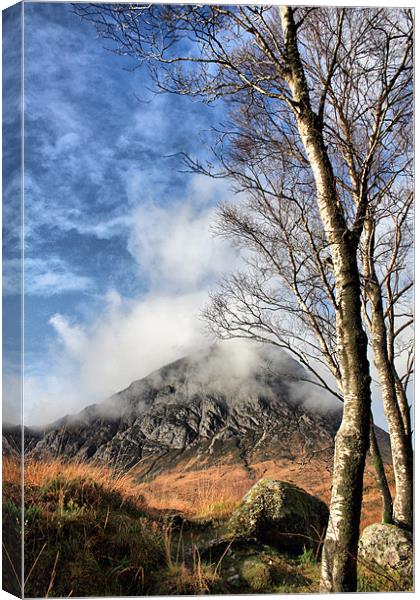 Buachaille and Birches Canvas Print by Sandi-Cockayne ADPS