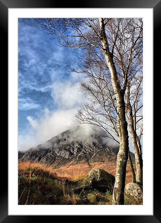 Buachaille and Birches Framed Mounted Print by Sandi-Cockayne ADPS