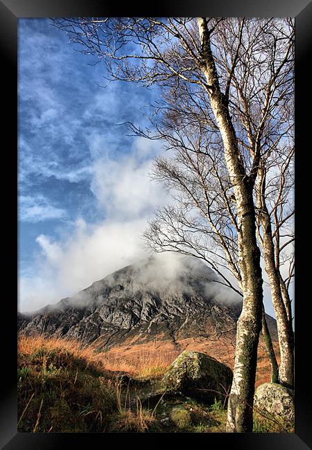 Buachaille and Birches Framed Print by Sandi-Cockayne ADPS