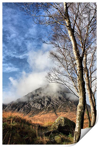 Buachaille and Birches Print by Sandi-Cockayne ADPS