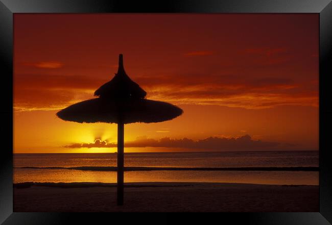 INDIAN OCEAN MAURITIUS BEACH SUNSET Framed Print by urs flueeler