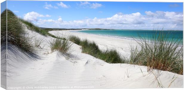 White Sands of Clachan beach Canvas Print by Chris Mobberley