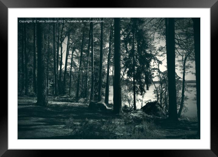 Nightfall at Forest Lake Framed Mounted Print by Taina Sohlman