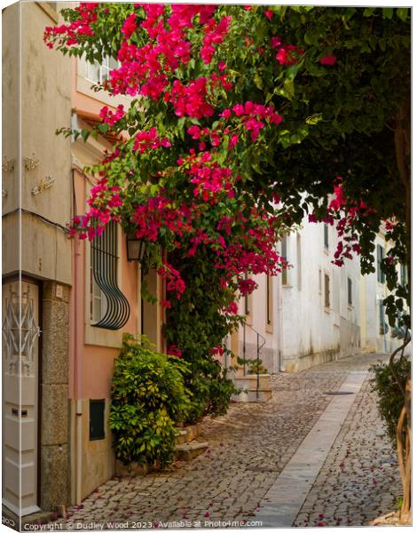 Enchanting Cobbled Lane in Cascais, Portugal Canvas Print by Dudley Wood