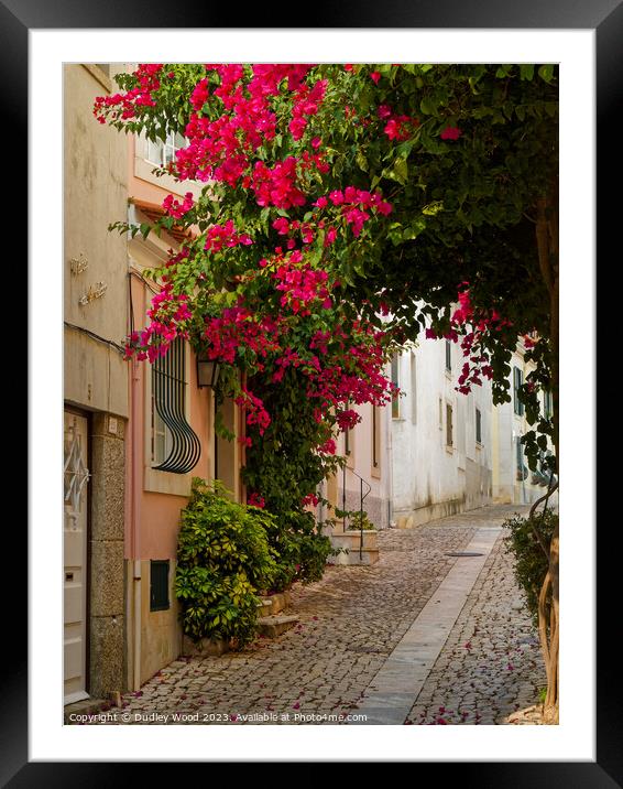 Enchanting Cobbled Lane in Cascais, Portugal Framed Mounted Print by Dudley Wood