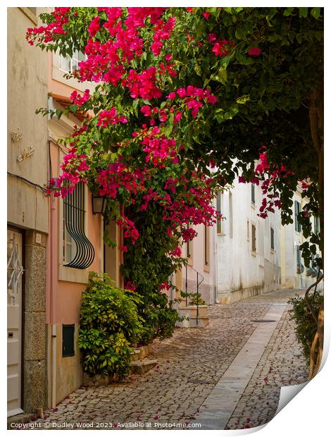 Enchanting Cobbled Lane in Cascais, Portugal Print by Dudley Wood