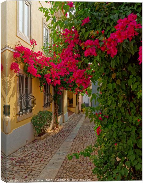 "Vibrant Charm of Cascais' Cobbled Lane" Canvas Print by Dudley Wood