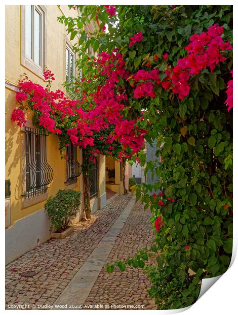 "Vibrant Charm of Cascais' Cobbled Lane" Print by Dudley Wood