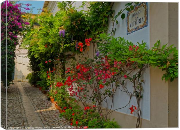 Enchanting Cobbled Lane: A Burst of Nature's Color Canvas Print by Dudley Wood