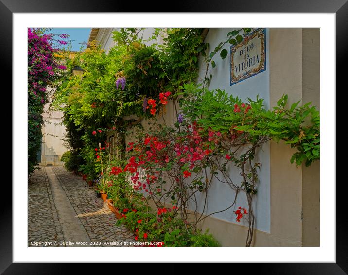 Enchanting Cobbled Lane: A Burst of Nature's Color Framed Mounted Print by Dudley Wood