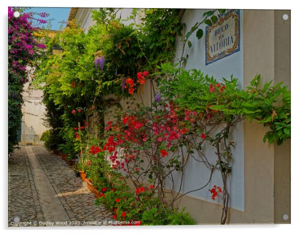 Enchanting Cobbled Lane: A Burst of Nature's Color Acrylic by Dudley Wood