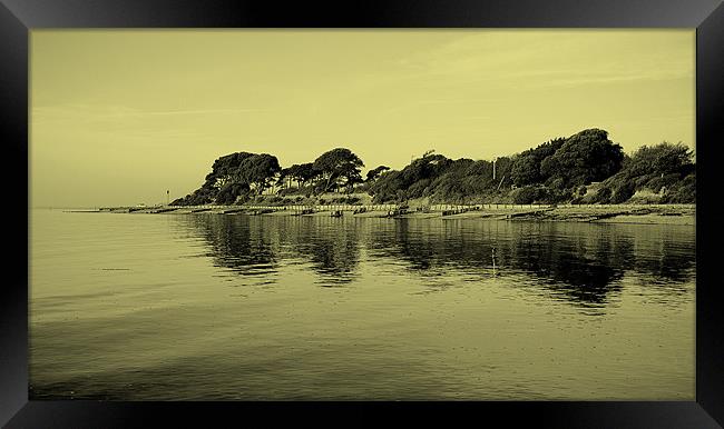 Reflections Of The Shore Framed Print by Louise Godwin