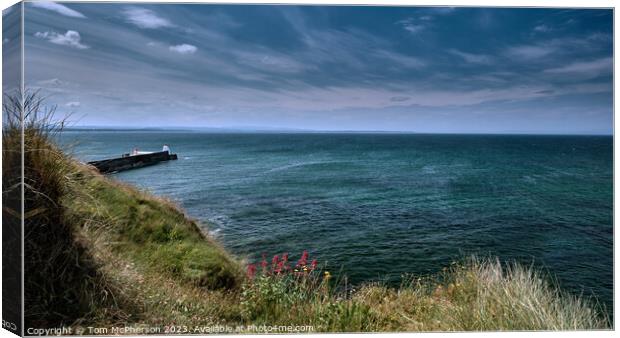 "Serenity Embodied: The Untamed Beauty of Burghead Canvas Print by Tom McPherson