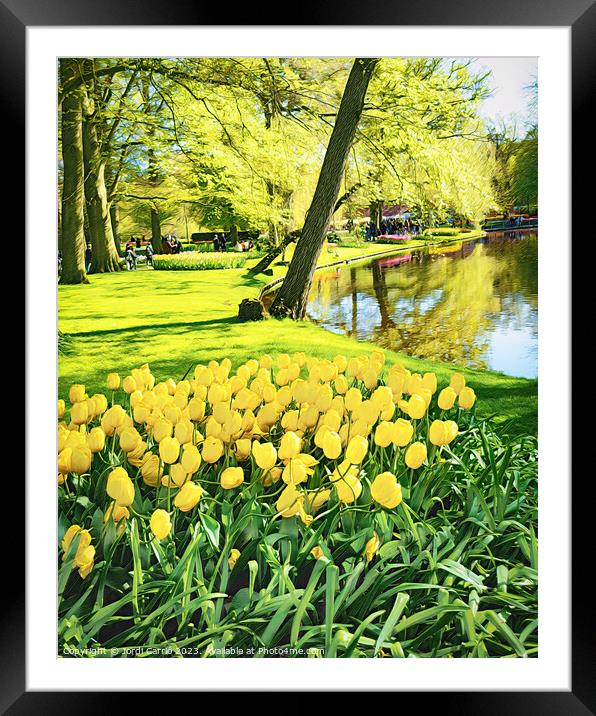 Radiant Reflections - LU2305-1030373-WAT Framed Mounted Print by Jordi Carrio
