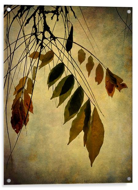 autumn palette Acrylic by Heather Newton