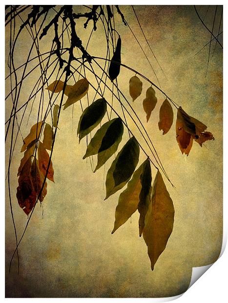 autumn palette Print by Heather Newton