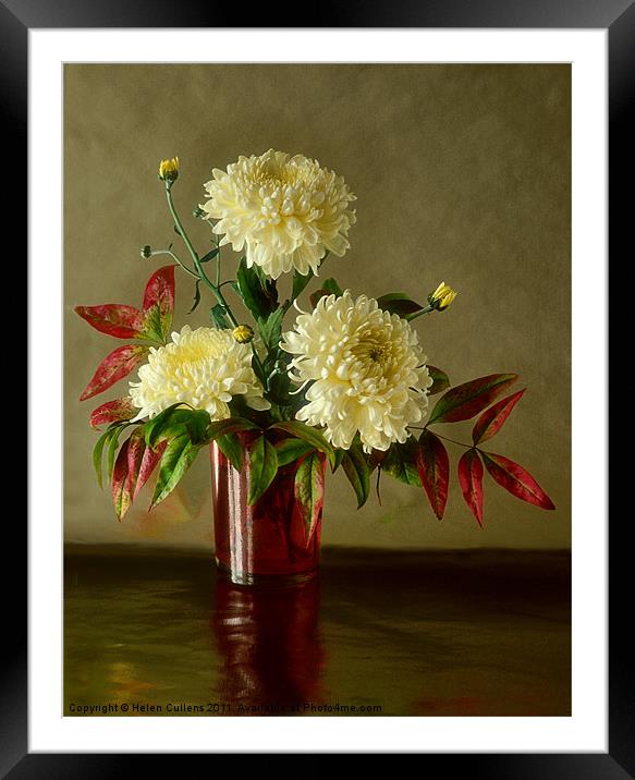 CHRYSANTHEMUMS Framed Mounted Print by Helen Cullens