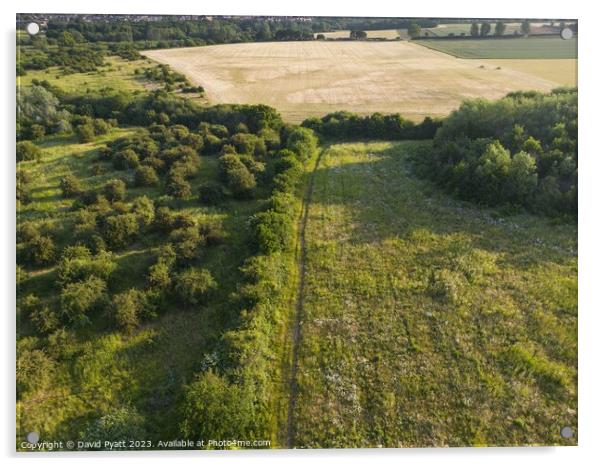 English Countryside Aerial Vista Acrylic by David Pyatt