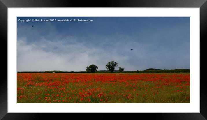 Training over Norfolk Poppy fields Framed Mounted Print by Rob Lucas