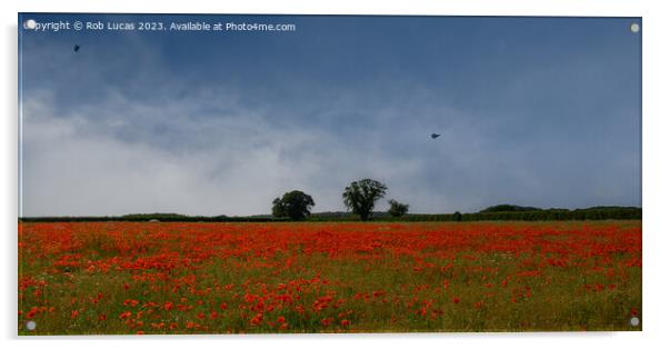 Training over Norfolk Poppy fields Acrylic by Rob Lucas