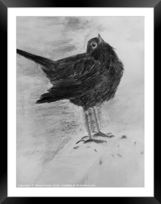 A bird that is standing in the sand Framed Mounted Print by Teresa Moore