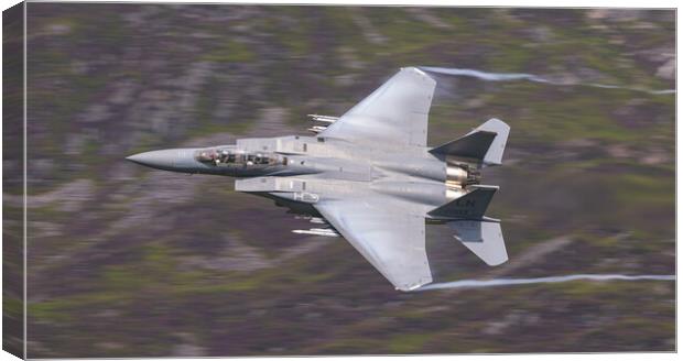 F15 Strike Eagle Canvas Print by Rory Trappe