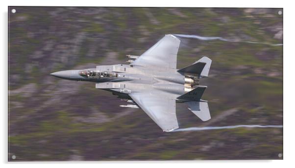 F15 Strike Eagle Acrylic by Rory Trappe