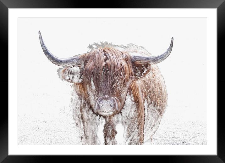 The Highland Cow in Winter Framed Mounted Print by Leighton Collins