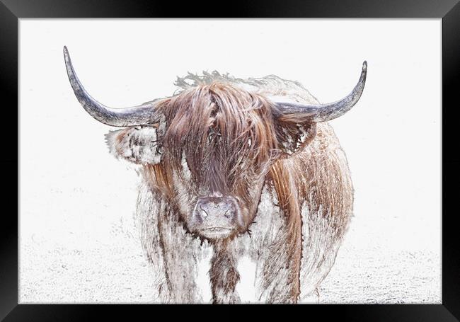 The Highland Cow in Winter Framed Print by Leighton Collins