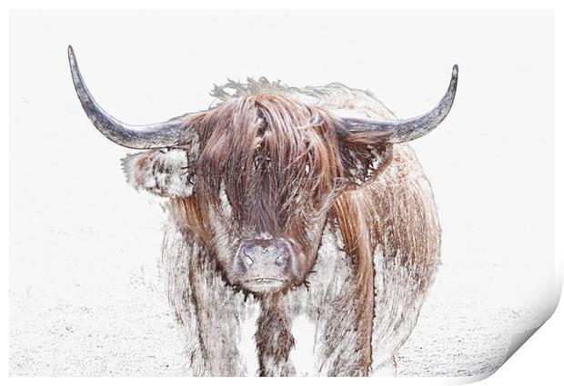 The Highland Cow in Winter Print by Leighton Collins