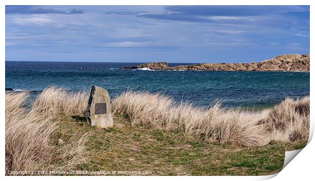 Serene Coastal Beauty Print by Tom McPherson