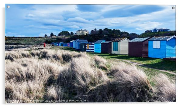 Vibrant Rows of Hopeman Beach Huts Acrylic by Tom McPherson