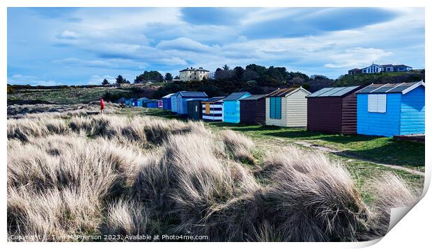 Vibrant Rows of Hopeman Beach Huts Print by Tom McPherson