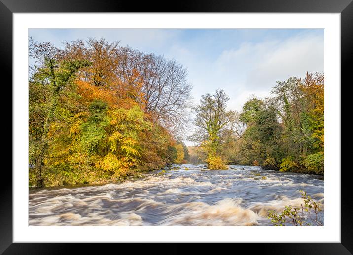 Fast flowing water down the River Wharfe Framed Mounted Print by Jason Wells