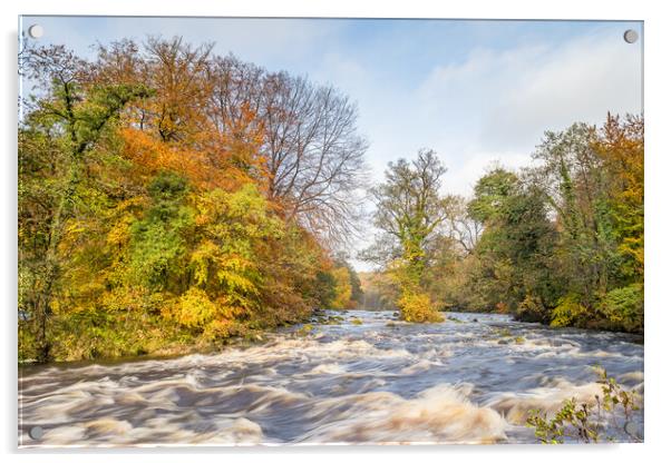 Fast flowing water down the River Wharfe Acrylic by Jason Wells