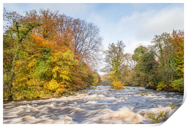 Fast flowing water down the River Wharfe Print by Jason Wells