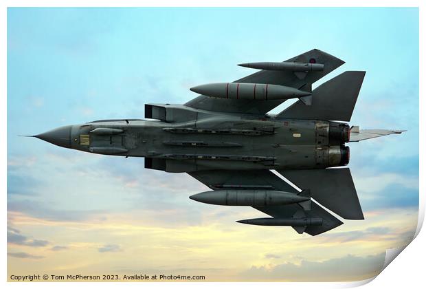 "Graceful Power Unleashed" Print by Tom McPherson