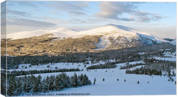  Snowy Splendor of Cairngorm Mountain Canvas Print by Tom McPherson