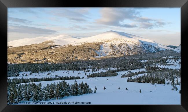  Snowy Splendor of Cairngorm Mountain Framed Print by Tom McPherson