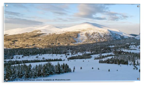  Snowy Splendor of Cairngorm Mountain Acrylic by Tom McPherson