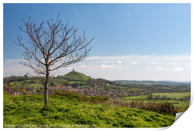 A view from Wearyall Hill to Glastonbury Tor Print by David Macdiarmid