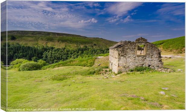 Derelict Stone Barn in Swaledale Canvas Print by Michael Shannon