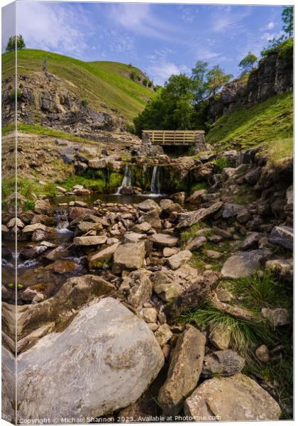 Swinner Gill, Swaledale, Yorkshire Dales Canvas Print by Michael Shannon