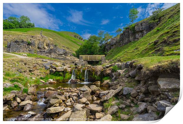 Swinnergill, Swaledale, Yorkshire Dales National P Print by Michael Shannon